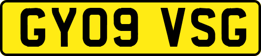 GY09VSG