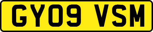 GY09VSM