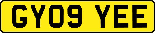 GY09YEE