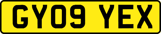 GY09YEX
