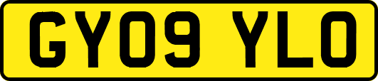 GY09YLO