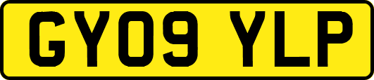 GY09YLP