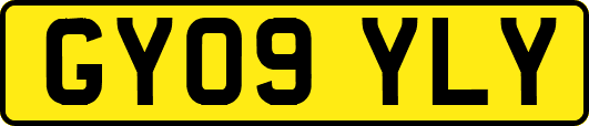 GY09YLY