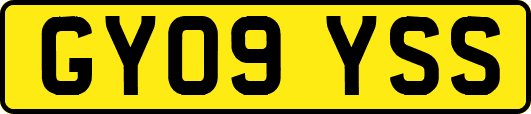 GY09YSS