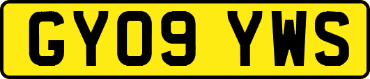 GY09YWS