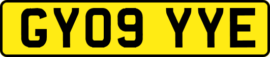 GY09YYE