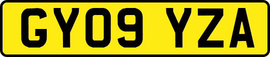 GY09YZA
