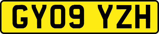 GY09YZH
