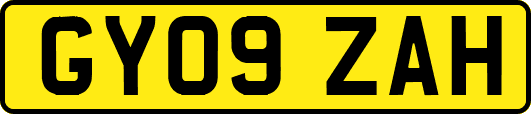 GY09ZAH