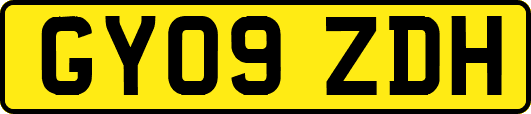 GY09ZDH