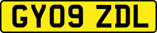 GY09ZDL
