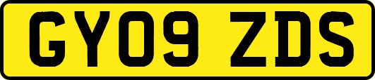 GY09ZDS