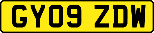 GY09ZDW