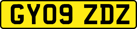 GY09ZDZ