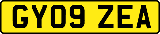 GY09ZEA