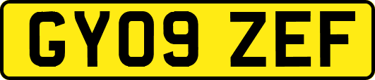 GY09ZEF