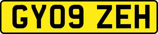 GY09ZEH