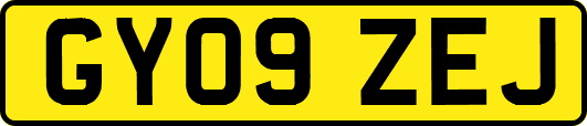 GY09ZEJ