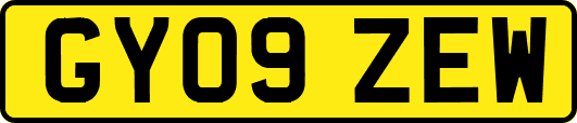GY09ZEW