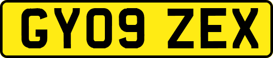 GY09ZEX