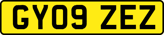 GY09ZEZ
