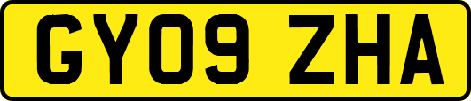 GY09ZHA