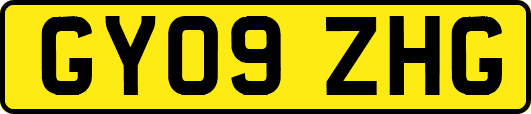 GY09ZHG