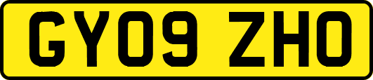 GY09ZHO