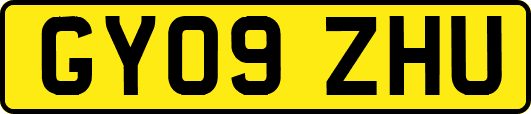 GY09ZHU