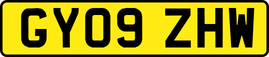 GY09ZHW