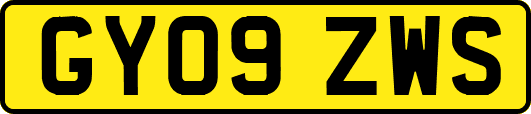 GY09ZWS