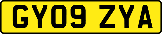 GY09ZYA