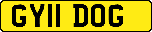 GY11DOG