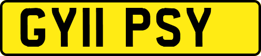 GY11PSY