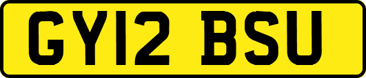 GY12BSU