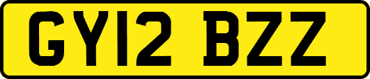 GY12BZZ
