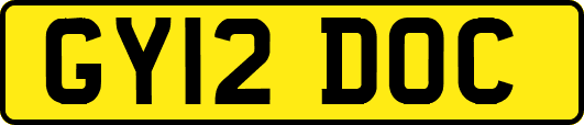 GY12DOC