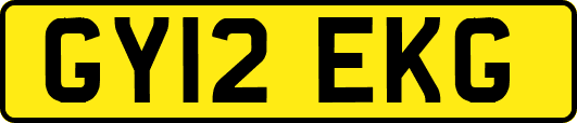 GY12EKG