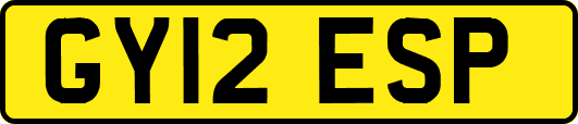 GY12ESP