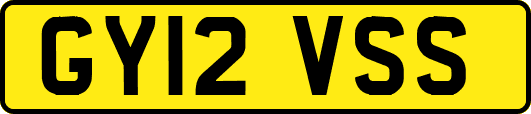 GY12VSS