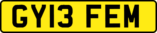 GY13FEM