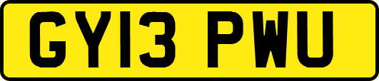 GY13PWU
