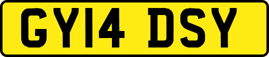GY14DSY