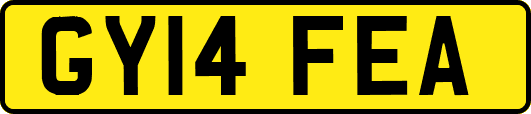GY14FEA