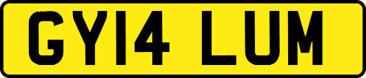 GY14LUM