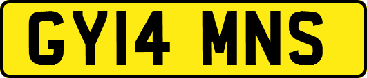 GY14MNS