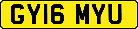 GY16MYU