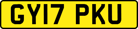 GY17PKU