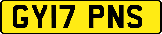 GY17PNS