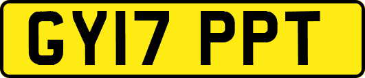 GY17PPT